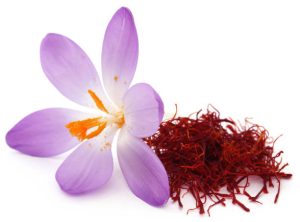 بهترین زعفران سحرخیز + ارسال به سراسر کشور